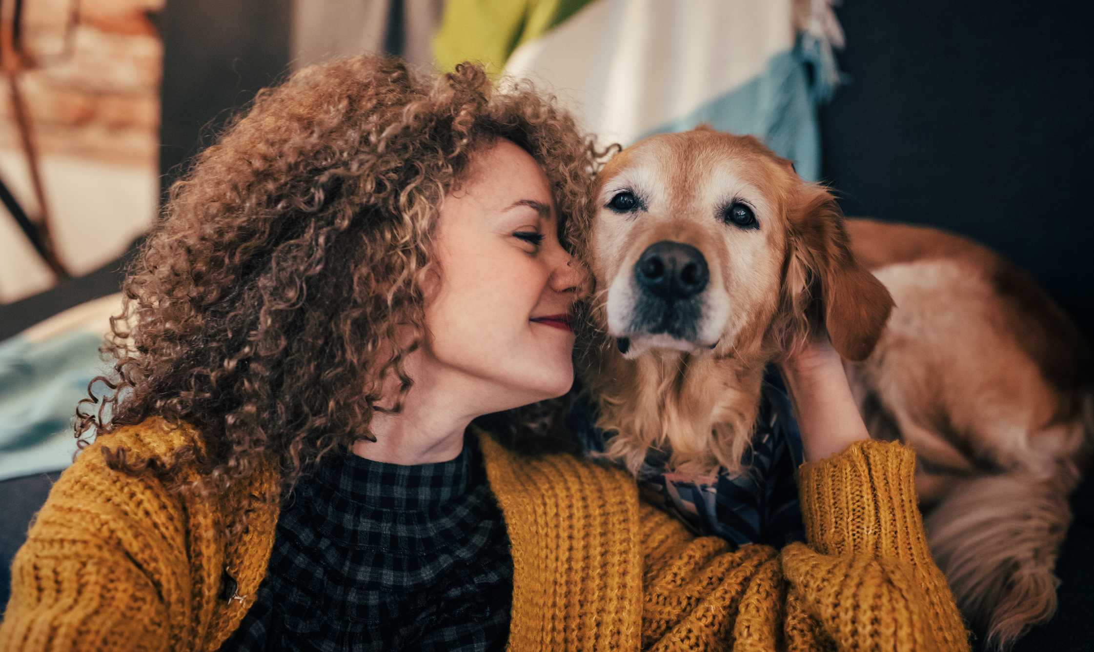 Digestive health is central to a dog&rsquo;s overall well-being, affecting hydration, nutrient absorption, and immune function.