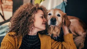 Digestive health is central to a dog’s overall well-being, affecting hydration, nutrient absorption, and immune function.