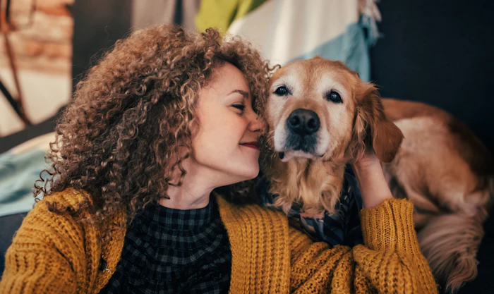 Digestive health is central to a dog’s overall well-being, affecting hydration, nutrient absorption, and immune function.