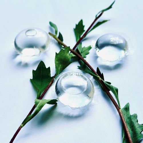 Rita Corp (500 X 500 Px)