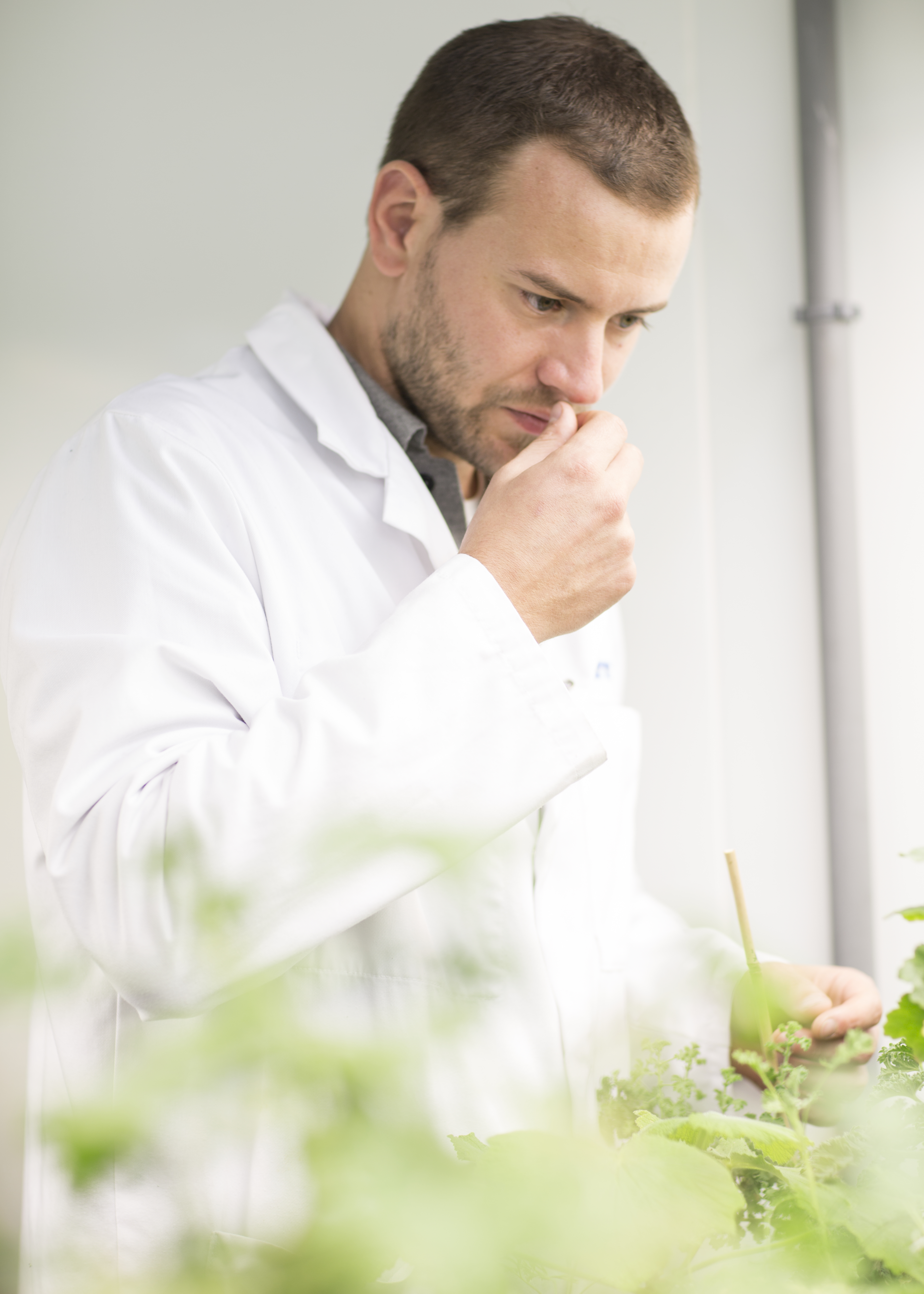 Bernard Blerot, VP R&D naturals at IFF, explains that the new Hearts demonstrate how sourcing and scientific stewardship can refine naturals to provide greater purity and olfactive focus.