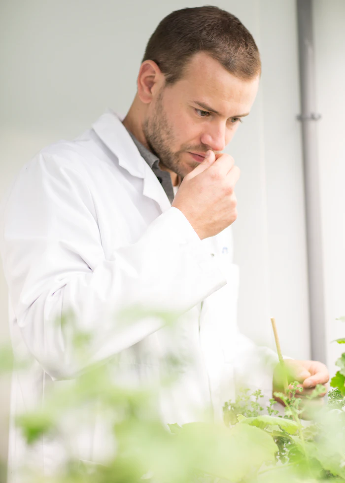 Bernard Blerot, VP R&D naturals at IFF, explains that the new Hearts demonstrate how sourcing and scientific stewardship can refine naturals to provide greater purity and olfactive focus.