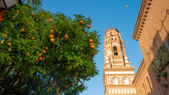 “Perfume can transport us across time and space,” said Luz Vaquero. “Through this exhibition, we aim to uphold Poble Espanyol’s mission of celebrating our nation’s deep-rooted perfume culture and olfactory heritage, inviting both local and international guests to experience it firsthand.”