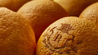 'At its core, Robertet’s ambition is simple yet powerful: to future naturals by putting creation at the service of brands, and brands at the service of consumers,' says Mark Bailey, senior vice president, global flavors division, Robertet.