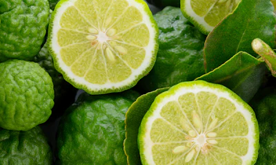 Bergamot oil blend Ventós delivers a floral, fruity and sweet-fresh profile characteristic of the prized citrus, making it suitable for fine fragrance, personal care and flavor applications seeking a sophisticated citrus top note.