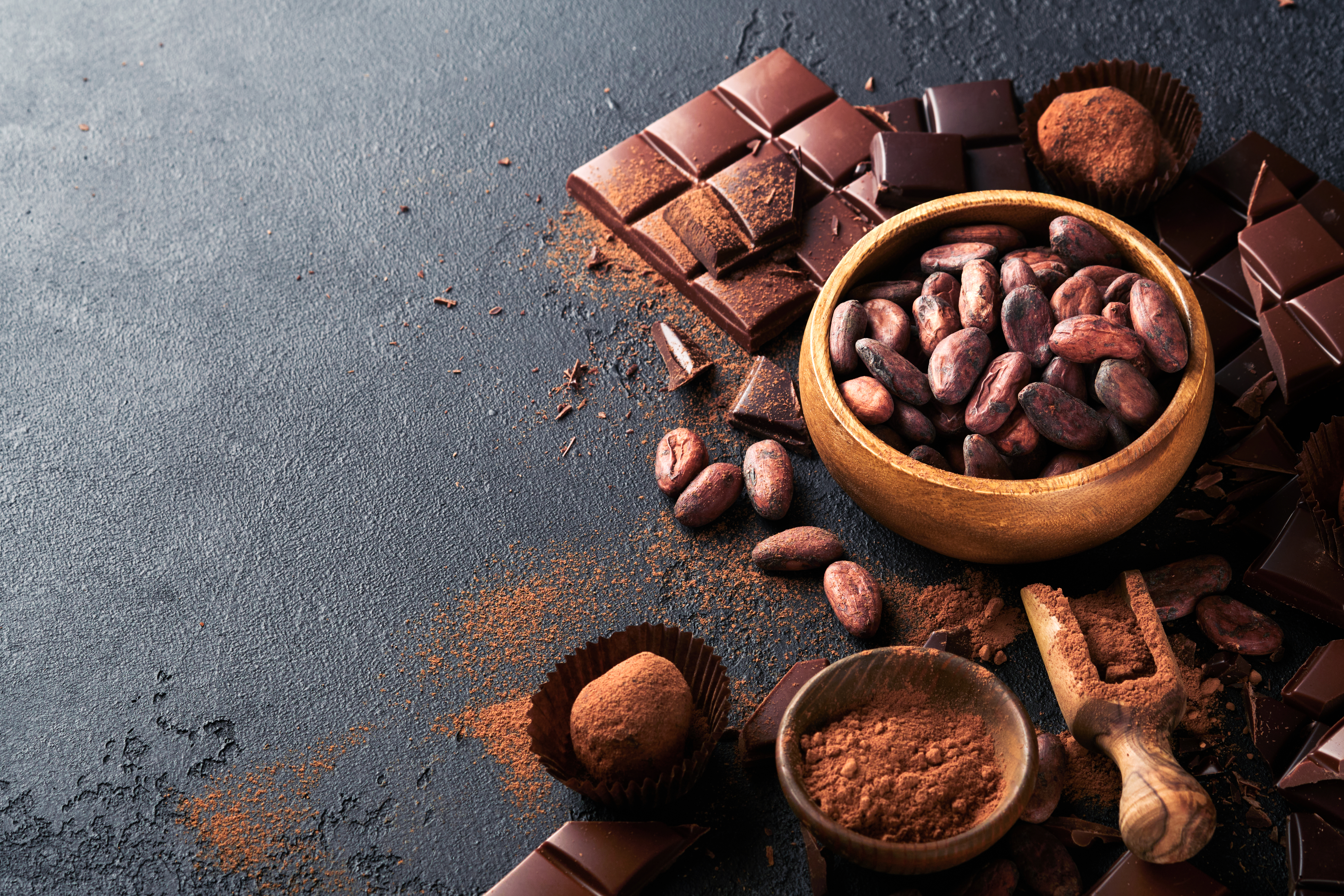 Chocolate Bars With Cocoa Beans And Powder Still L 2026 03 24 21 39 32 Utc