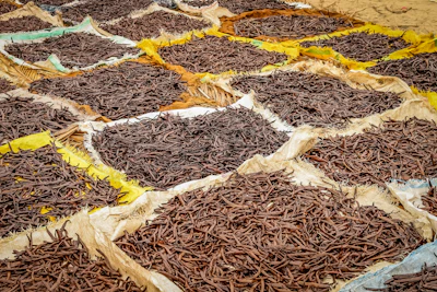 Dried anchovies arranged in sections on ground with colored fabric dividers for sun-drying or market display