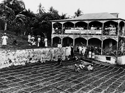 Historical black and white photograph of Pendennis Estate colonial building in Antigua with workers and drying beds