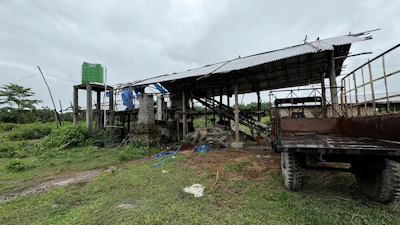 Oils made from agarwood may be blended across origins, grades, ages or distillation runs and still be sold under the same undifferentiated name; separately, non-agarwood materials may be added, or fake and adulterated wood pushed into the market.