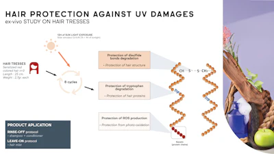 Scientific infographic showing hair UV protection study results with molecular structures and product application methods