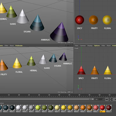 3D modeling of olfactory cones; created by Pierre Bénard Ségu and Mathieu Laprie, 2021.