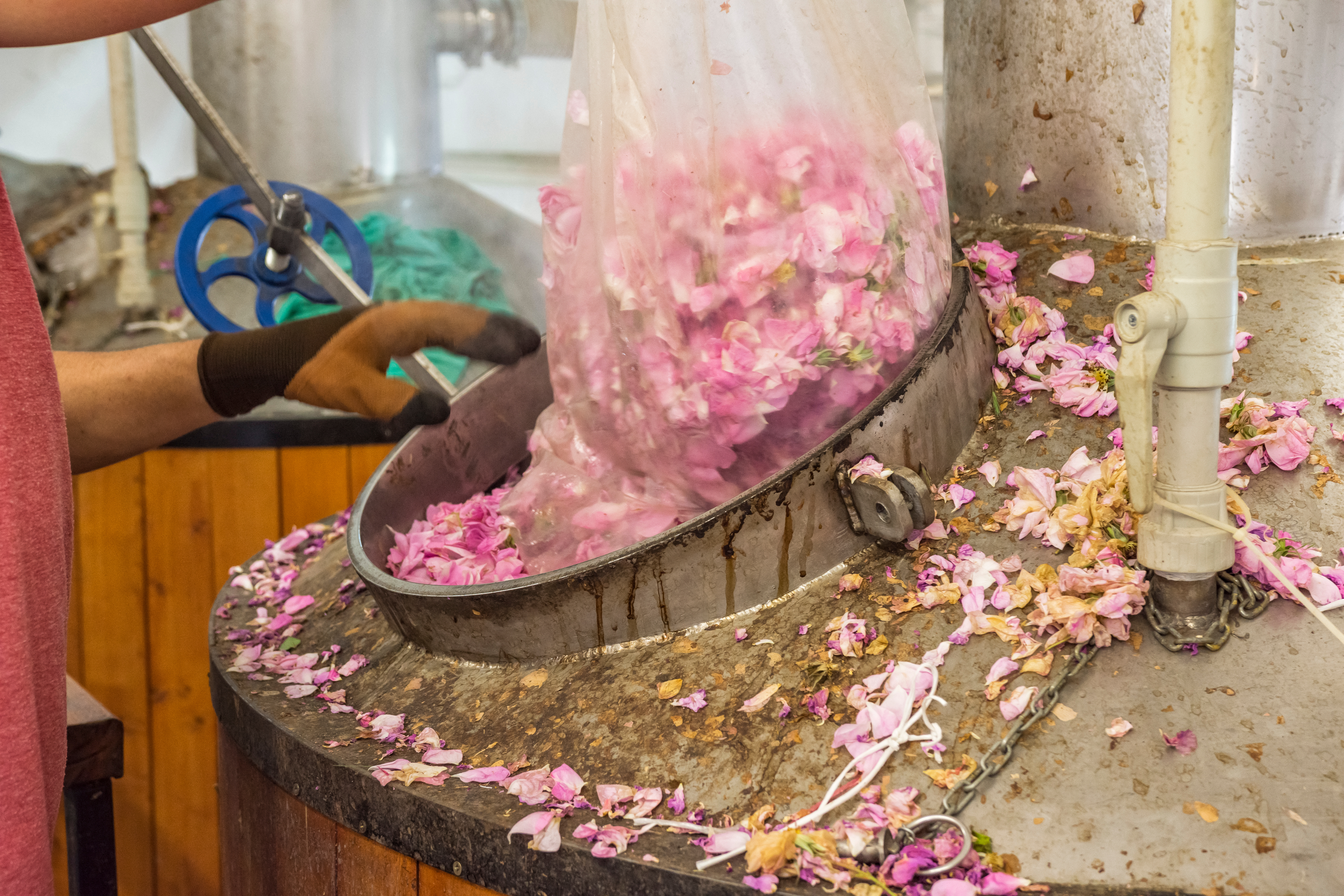 Professionals working with naturals often require knowledge of sourcing, traceability, quality variation, supplier relationships, certification, regulation and the financial effect of inconsistent supply.