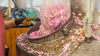 Professionals working with naturals often require knowledge of sourcing, traceability, quality variation, supplier relationships, certification, regulation and the financial effect of inconsistent supply.