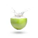 Fresh green coconut with water splash erupting from the top against white background