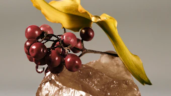 Yellow banana peel and red rowan berries arranged on a textured stone against gray background