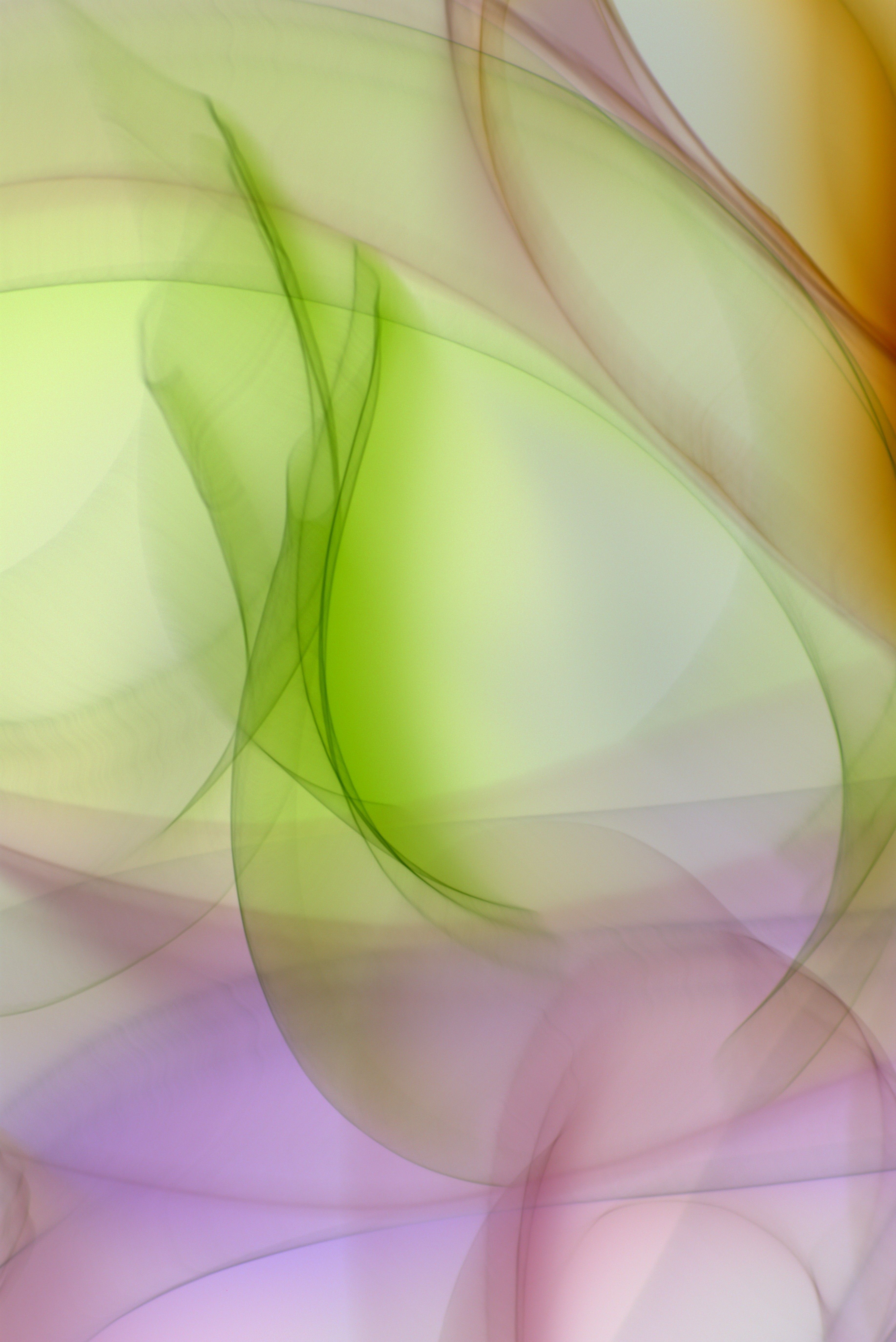 Abstract gradient background with flowing green, pink, and purple tones creating soft, organic shapes