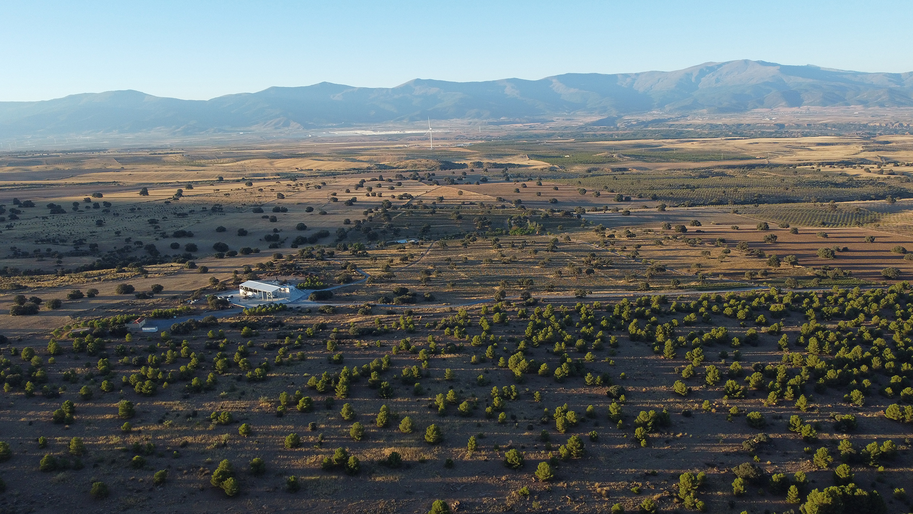 Aerial view of agricultural landscape with scattered trees, cultivated fields, and mountains under clear blue sky