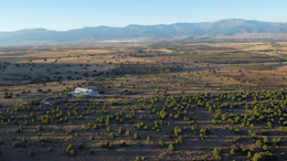 Aerial view of agricultural landscape with mountains, scattered olive trees, and a white building in a Mediterranean valley