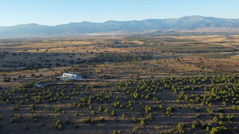 Aerial view of agricultural landscape with mountains, scattered olive trees, and a white building in a Mediterranean valley